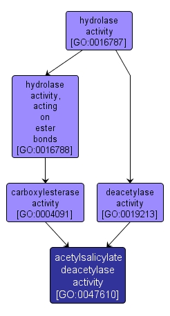 GO:0047610 - acetylsalicylate deacetylase activity (interactive image map)