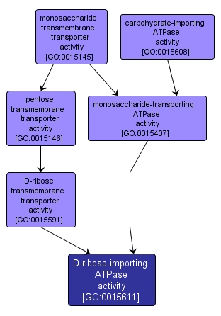 GO:0015611 - D-ribose-importing ATPase activity (interactive image map)