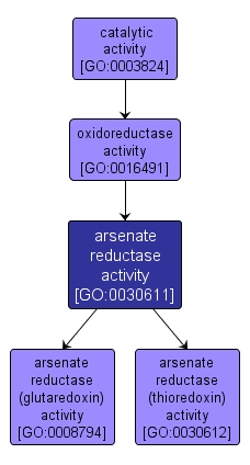 GO:0030611 - arsenate reductase activity (interactive image map)