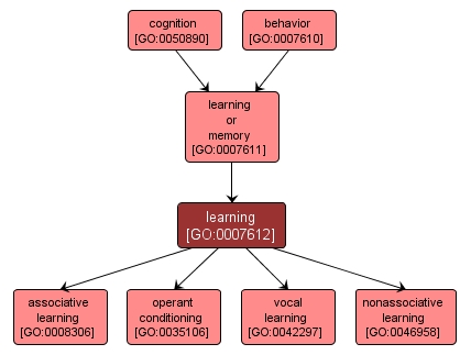 GO:0007612 - learning (interactive image map)