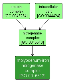 GO:0016612 - molybdenum-iron nitrogenase complex (interactive image map)
