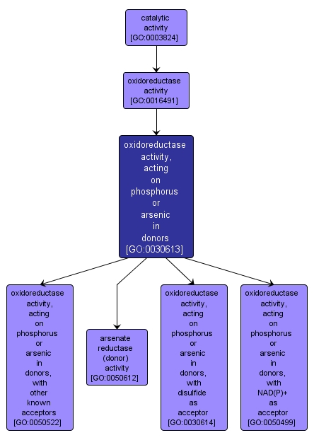 GO:0030613 - oxidoreductase activity, acting on phosphorus or arsenic in donors (interactive image map)