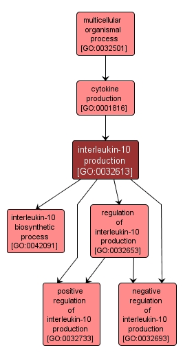 GO:0032613 - interleukin-10 production (interactive image map)