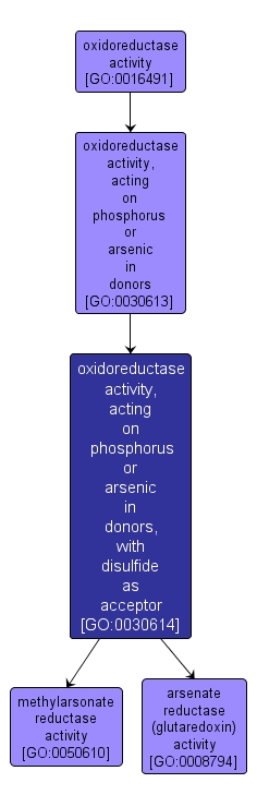 GO:0030614 - oxidoreductase activity, acting on phosphorus or arsenic in donors, with disulfide as acceptor (interactive image map)