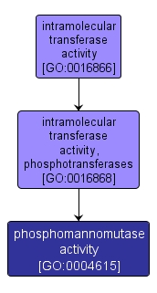 GO:0004615 - phosphomannomutase activity (interactive image map)