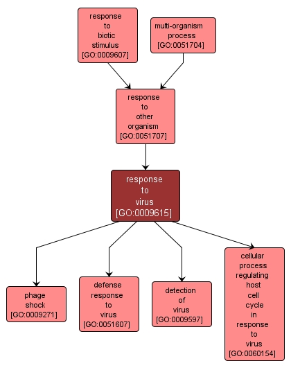 GO:0009615 - response to virus (interactive image map)