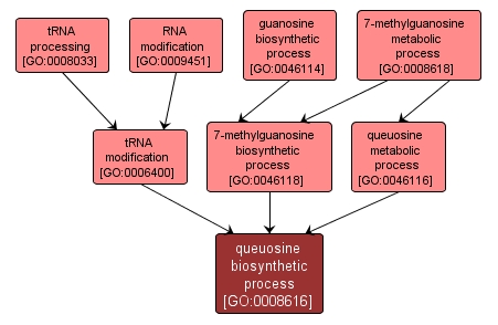 GO:0008616 - queuosine biosynthetic process (interactive image map)