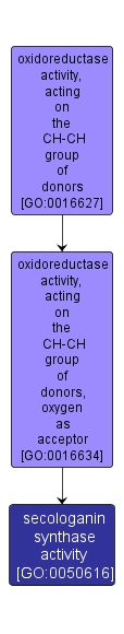 GO:0050616 - secologanin synthase activity (interactive image map)