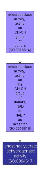 GO:0004617 - phosphoglycerate dehydrogenase activity (interactive image map)