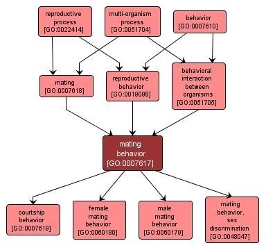 GO:0007617 - mating behavior (interactive image map)