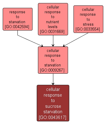 GO:0043617 - cellular response to sucrose starvation (interactive image map)