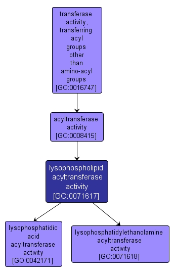 GO:0071617 - lysophospholipid acyltransferase activity (interactive image map)