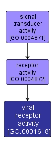 GO:0001618 - viral receptor activity (interactive image map)