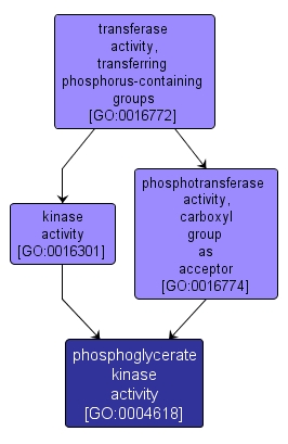 GO:0004618 - phosphoglycerate kinase activity (interactive image map)