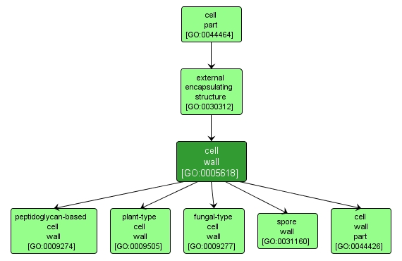 GO:0005618 - cell wall (interactive image map)