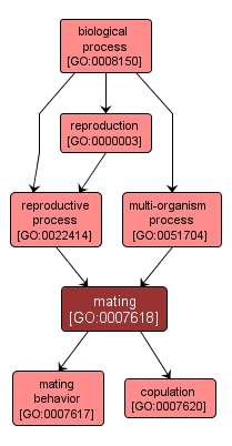 GO:0007618 - mating (interactive image map)