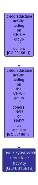 GO:0016618 - hydroxypyruvate reductase activity (interactive image map)