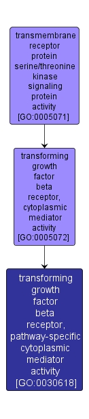 GO:0030618 - transforming growth factor beta receptor, pathway-specific cytoplasmic mediator activity (interactive image map)