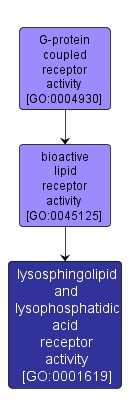 GO:0001619 - lysosphingolipid and lysophosphatidic acid receptor activity (interactive image map)