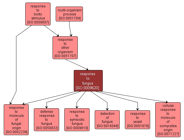 GO:0009620 - response to fungus (interactive image map)