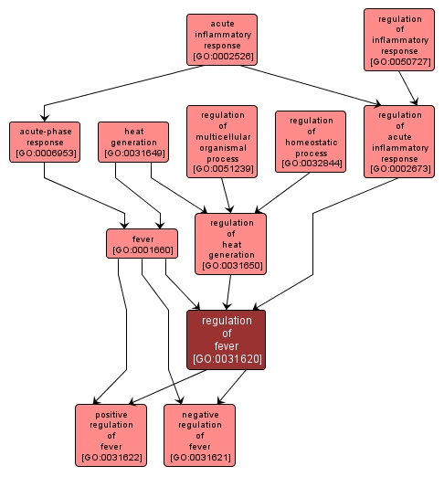 GO:0031620 - regulation of fever (interactive image map)