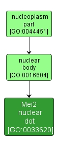 GO:0033620 - Mei2 nuclear dot (interactive image map)