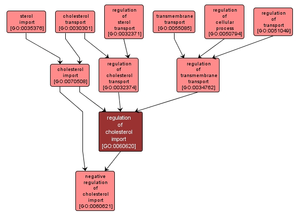 GO:0060620 - regulation of cholesterol import (interactive image map)