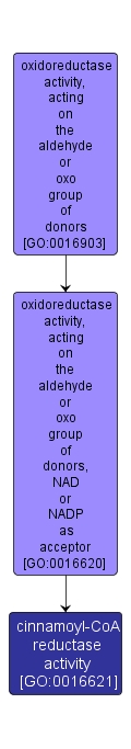 GO:0016621 - cinnamoyl-CoA reductase activity (interactive image map)