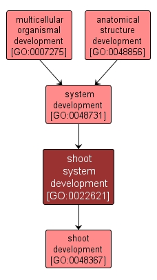 GO:0022621 - shoot system development (interactive image map)