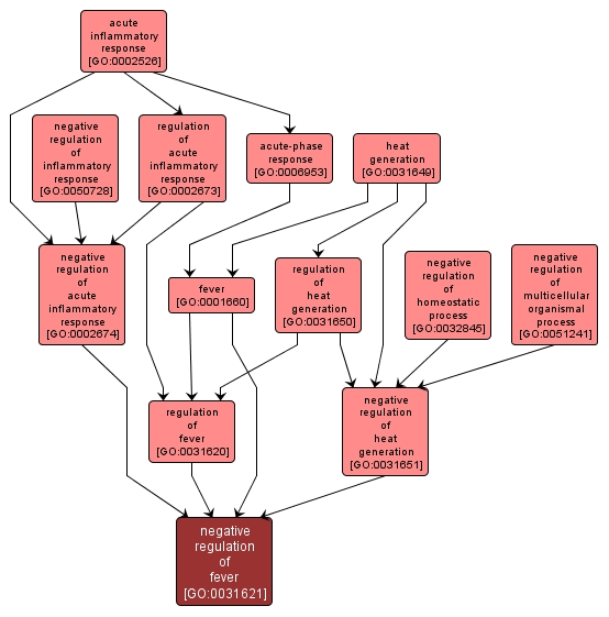 GO:0031621 - negative regulation of fever (interactive image map)