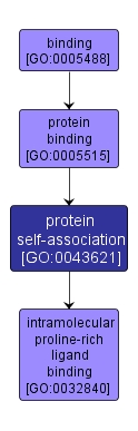 GO:0043621 - protein self-association (interactive image map)