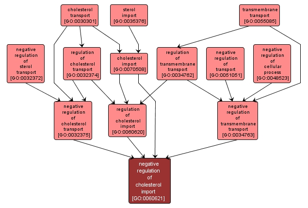 GO:0060621 - negative regulation of cholesterol import (interactive image map)