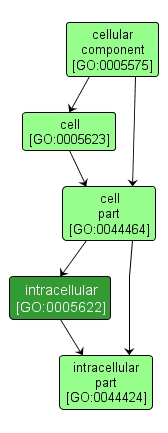 GO:0005622 - intracellular (interactive image map)