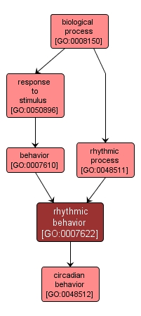 GO:0007622 - rhythmic behavior (interactive image map)