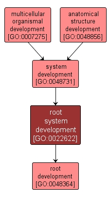 GO:0022622 - root system development (interactive image map)