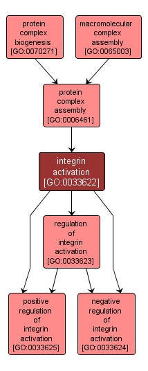 GO:0033622 - integrin activation (interactive image map)