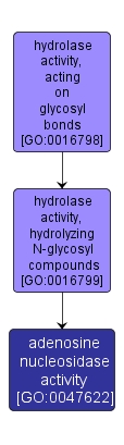 GO:0047622 - adenosine nucleosidase activity (interactive image map)