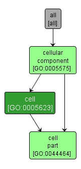 GO:0005623 - cell (interactive image map)