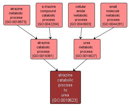 GO:0019623 - atrazine catabolic process to urea (interactive image map)