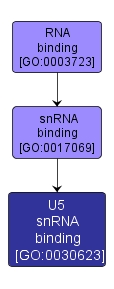 GO:0030623 - U5 snRNA binding (interactive image map)