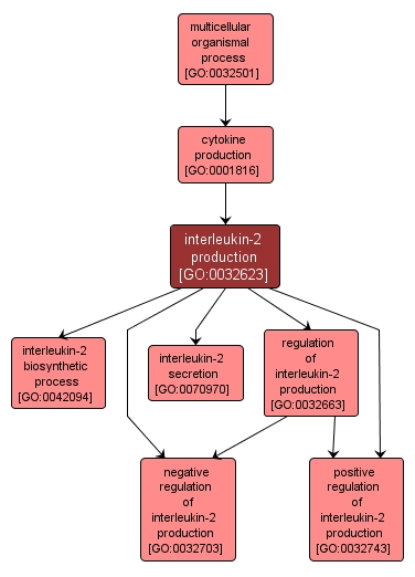 GO:0032623 - interleukin-2 production (interactive image map)