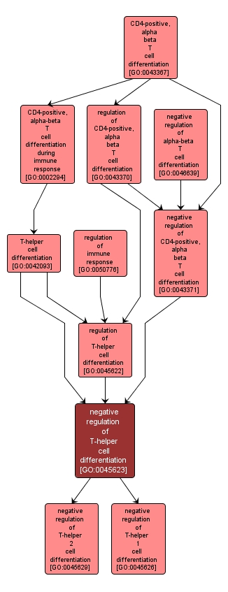 GO:0045623 - negative regulation of T-helper cell differentiation (interactive image map)