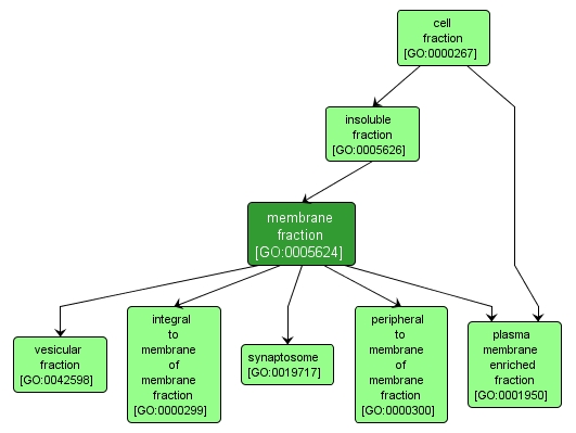 GO:0005624 - membrane fraction (interactive image map)