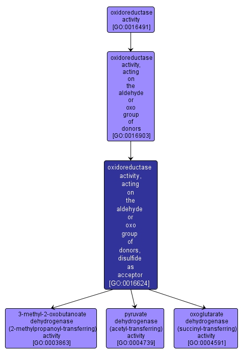 GO:0016624 - oxidoreductase activity, acting on the aldehyde or oxo group of donors, disulfide as acceptor (interactive image map)