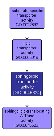 GO:0046624 - sphingolipid transporter activity (interactive image map)