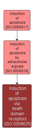 GO:0008625 - induction of apoptosis via death domain receptors (interactive image map)