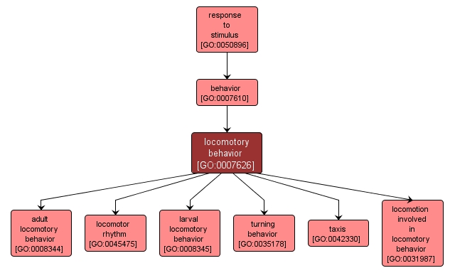 GO:0007626 - locomotory behavior (interactive image map)