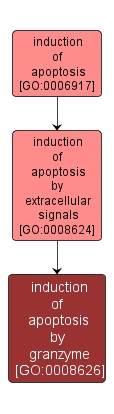 GO:0008626 - induction of apoptosis by granzyme (interactive image map)