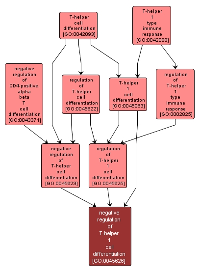 GO:0045626 - negative regulation of T-helper 1 cell differentiation (interactive image map)