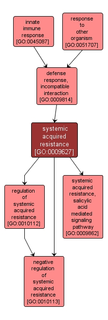 GO:0009627 - systemic acquired resistance (interactive image map)